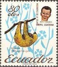 Stamp, Sloth (Bradypus sp.), Pete Fleming, Ecuador,  