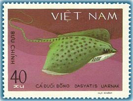 Stamp, Honeycomb Stingray (Dasyatis uarnak), Vietnam,  , Fishes