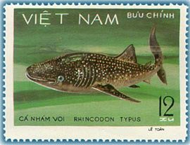 Stamp, Whale Shark (Rhincodon typus), Vietnam,  , Animals (Fauna), Fishes