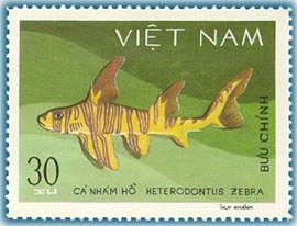 Stamp, Zebra Bullhead Shark (Heterodontus zebra), Vietnam,  , Fishes
