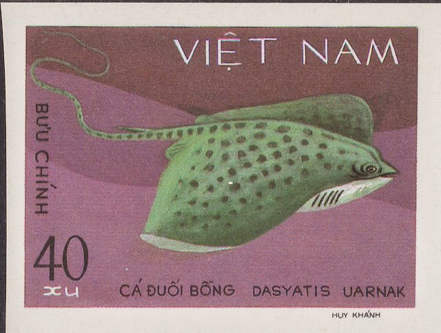 Honeycomb Stingray (Dasyatis uarnak)