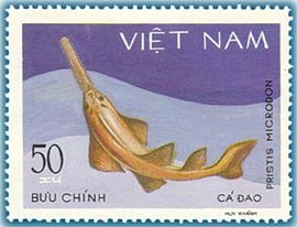 Stamp, Largetooth Sawfish (Pristis microdon), Vietnam,  , Fishes