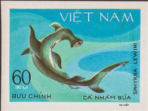 Stamp, Scalloped Hammerhead (Sphyrna lewini), Vietnam,  , Fishes