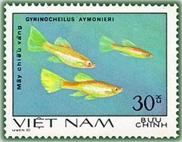 Stamp, Sucking Loach (Gyrinocheilus aymonieri), Vietnam,  , Animals (Fauna), Fishes