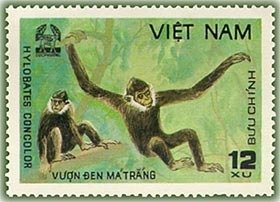 Stamp, Black Crested Gibbon (Hylobates concolor), Vietnam,  , Mammals, Monkeys, Animals (Fauna)