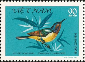 Stamp, Ruby-cheeked Sunbird (Chalcoparia singalensis), Vietnam,  , Birds, Animals (Fauna)