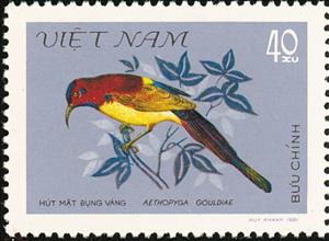 Stamp, Gould's Sunbird (Aethopyga gouldiae), Vietnam,  , Birds, Animals (Fauna)