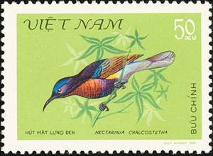 Stamp, Copper-throated Sunbird (Leptocoma calcostetha), Vietnam,  , Birds, Animals (Fauna)