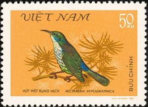 Stamp, Purple-naped Sunbird (Hypogramma hypogrammicum), Vietnam,  , Birds