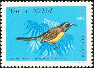 Stamp, Green-tailed Sunbird (Aethopyga nipalensis), Vietnam,  , Birds, Animals (Fauna)