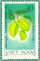 Carambola (averrhoa Bilimbi)