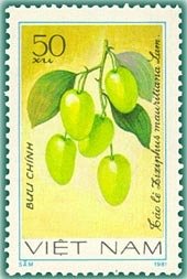 Stamp, Jujube (ziziphus Mauritiana), Vietnam,  , Fruits