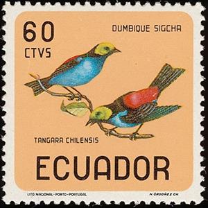 Stamp, Paradise Tanager (Tangara chilensis), Ecuador,  , Birds