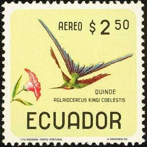 Stamp, Violet-tailed Sylph (Aglaiocercus coelestis), Ecuador,  , Flowers, Birds, Hummingbirds