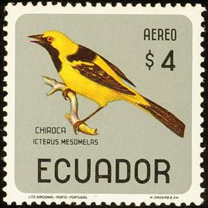 Stamp, Yellow-tailed Oriole (Icterus mesomelas), Ecuador,  , Birds, Animals (Fauna)