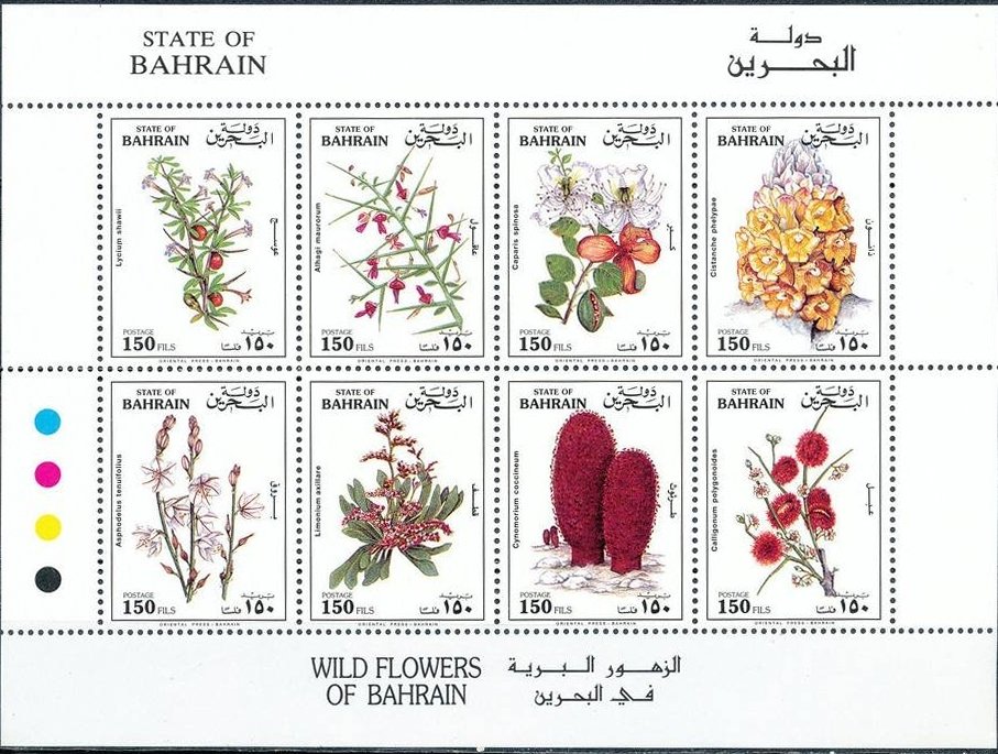 Various plants