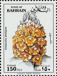 Stamp, Cistanche (Cistanche phelypaea), Bahrain,  