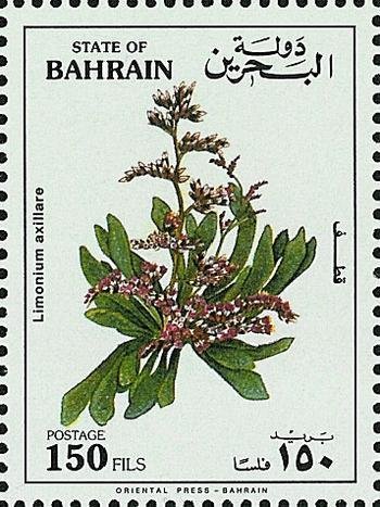 Limonium axillare