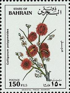 Stamp, Phog (Calligonum polygonoides), Bahrain,  