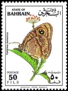 Stamp, Desert Fourring (Ypthima bolanica), Bahrain,  , Insects, Butterflies, Animals (Fauna)