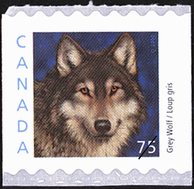 Wolf (Canis lupus)