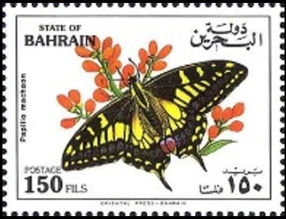 Swallowtail (Papilio machaon)