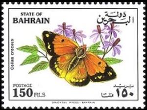 Stamp, Clouded Yellow (Colias croceus), Bahrain,  , Flowers, Insects, Butterflies, Animals (Fauna)