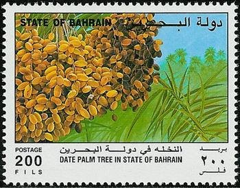 Fruit panicle
