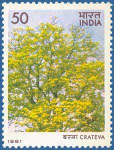 Stamp, Crateva, India,  , Trees, Plants (Flora)