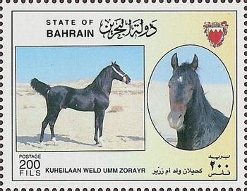 Kuheilaan Weld umm Zorayr