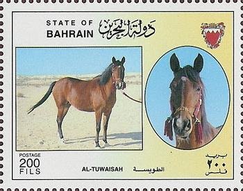 Al-Tuwaisah