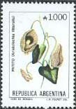 Aristolochia littoralis