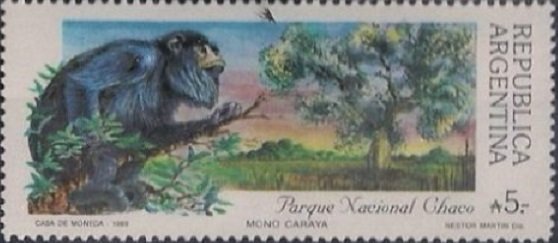 Chaco National Park - Black Howler (Alouatta caraya)