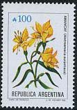 Alstroemeria aurantiaca