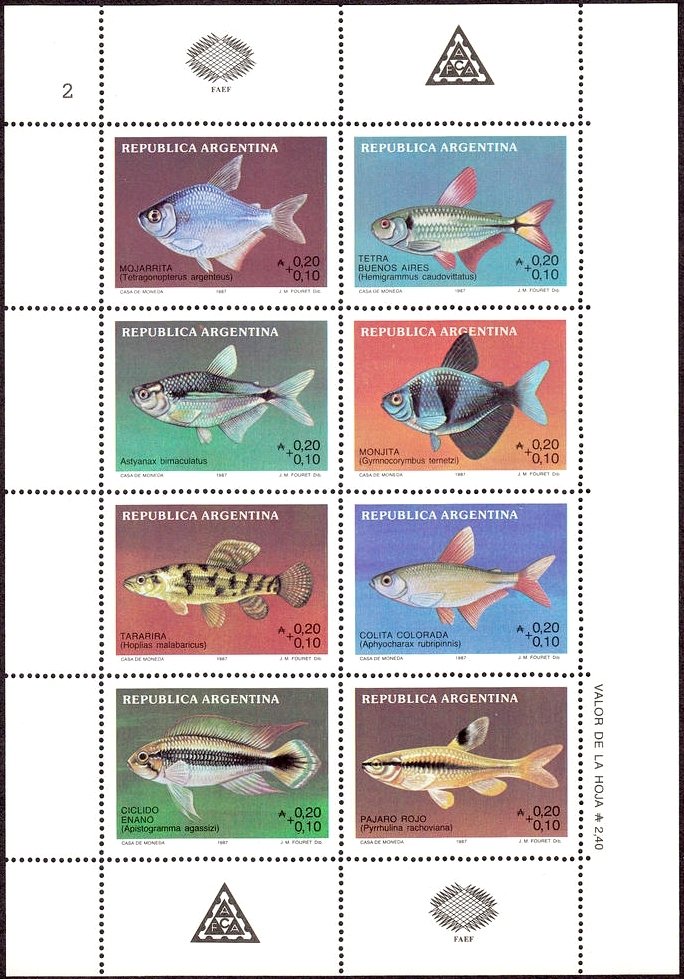Argentine Rivers Fish