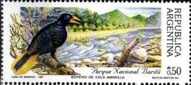 Baritú National Park - Bird
