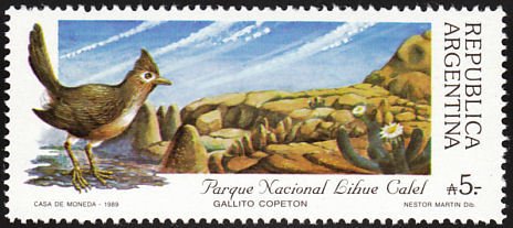Stamp, Lihue Calel National Park - Crested Gallito (Rhinocrypta lan, Argentina,  , Birds, National Parks, Rock