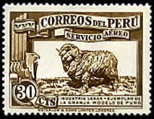Stamp, Merino Sheep (Ovis orientalis aries), Peru,  