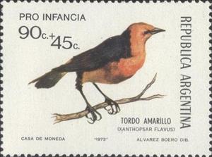 Stamp, Saffron-crowled Blackbird (Xanthopsar flavus), Argentina,  
