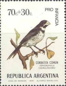 Stamp, Double-collared Seedeater (Sporophila caerulescens), Argentina,  