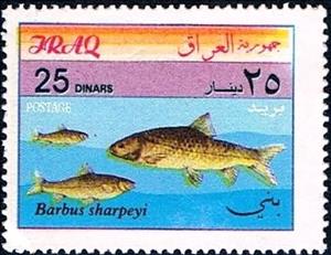Stamp, Barbel (Barbus sharpeyi), Iraq,  