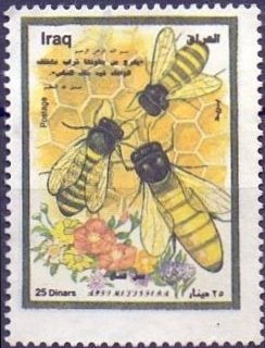 European Honey Bee (Apis mellifera)