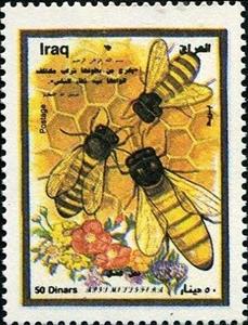 Stamp, European Honey Bee (Apis mellifera), Iraq,  , Bees