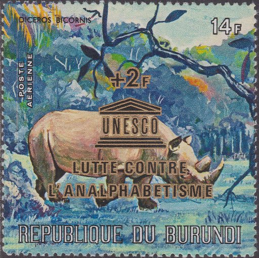 Black Rhinoceros (Diceros bicornis)