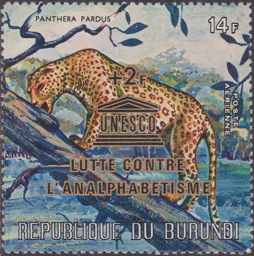 Leopard (Panthera pardus)