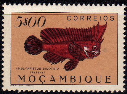 Redskinfish (Ablabys binotatus)