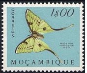 Stamp, African Moon MOth (Argerna mimosae), Mozambique,  , Insects, Butterflies, Animals (Fauna)