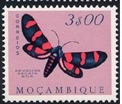 Stamp, Moth (Arniocera ericata), Mozambique,  , Insects, Butterflies, Animals (Fauna)
