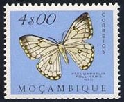 Stamp, Apollo MOth (Pseudaphelia apollinaris), Mozambique,  , Insects, Butterflies, Animals (Fauna)