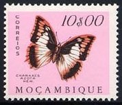 Flame-bordered Emperor (Charaxes azota)